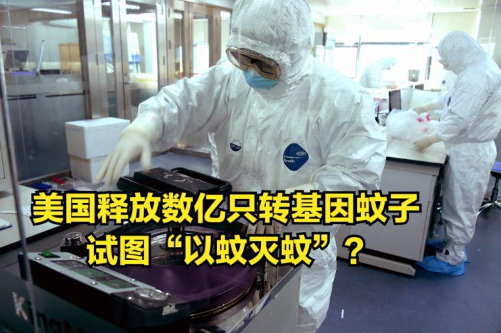 蚊子彻底消灭_蚊子灭绝的国家_国家为什么不消灭蚊子