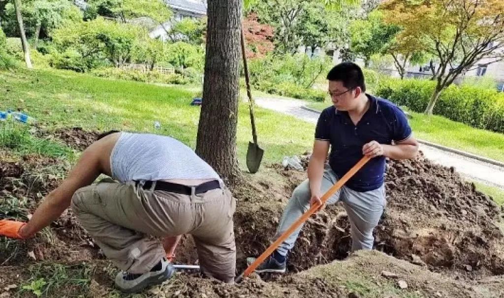 灭白蚁公司电话_灭白蚁服务哪家好_灭白蚁公司电话热线