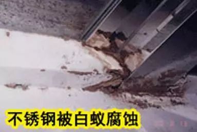 灭白蚁公司电话_灭白蚁服务哪家好_灭白蚁公司电话热线