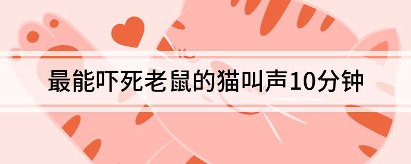 驱老鼠办法_老鼠最怕的10种驱鼠方法_老鼠驱鼠怕种方法图片