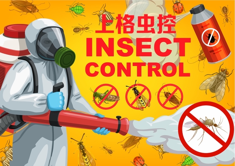 灭臭虫公司收费_杀臭虫公司_灭臭虫公司多少钱