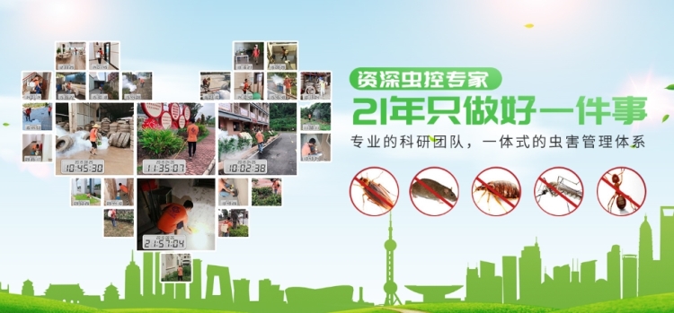 灭臭虫公司多少钱_灭臭虫公司收费_杀臭虫公司