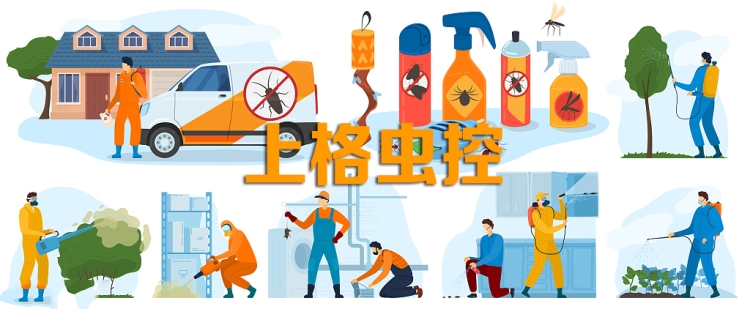 杀臭虫公司_灭臭虫公司收费_灭臭虫公司多少钱