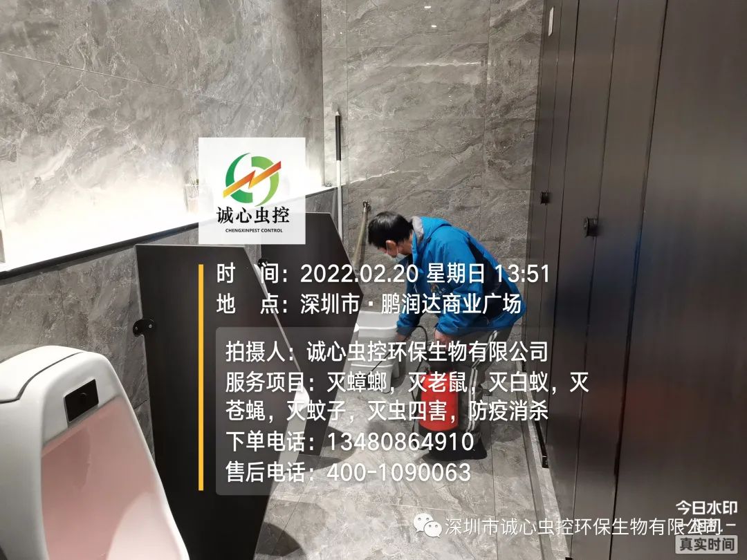 灭臭虫有效方法是什么_灭臭虫有效方法_灭臭虫有效方法有哪些