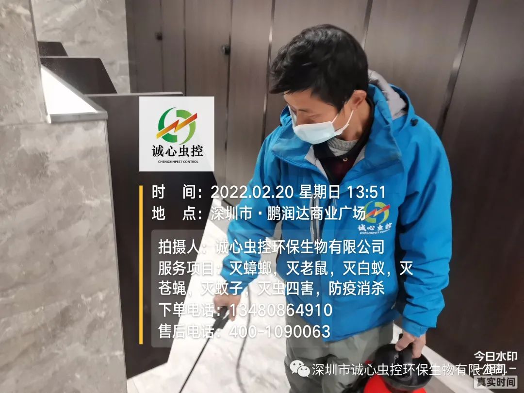 灭臭虫有效方法是什么_灭臭虫有效方法_灭臭虫有效方法有哪些