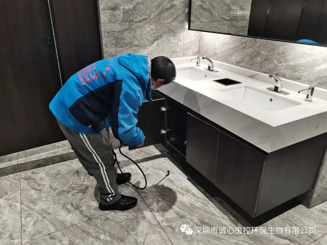 灭臭虫有效方法是什么_灭臭虫有效方法_灭臭虫有效方法有哪些