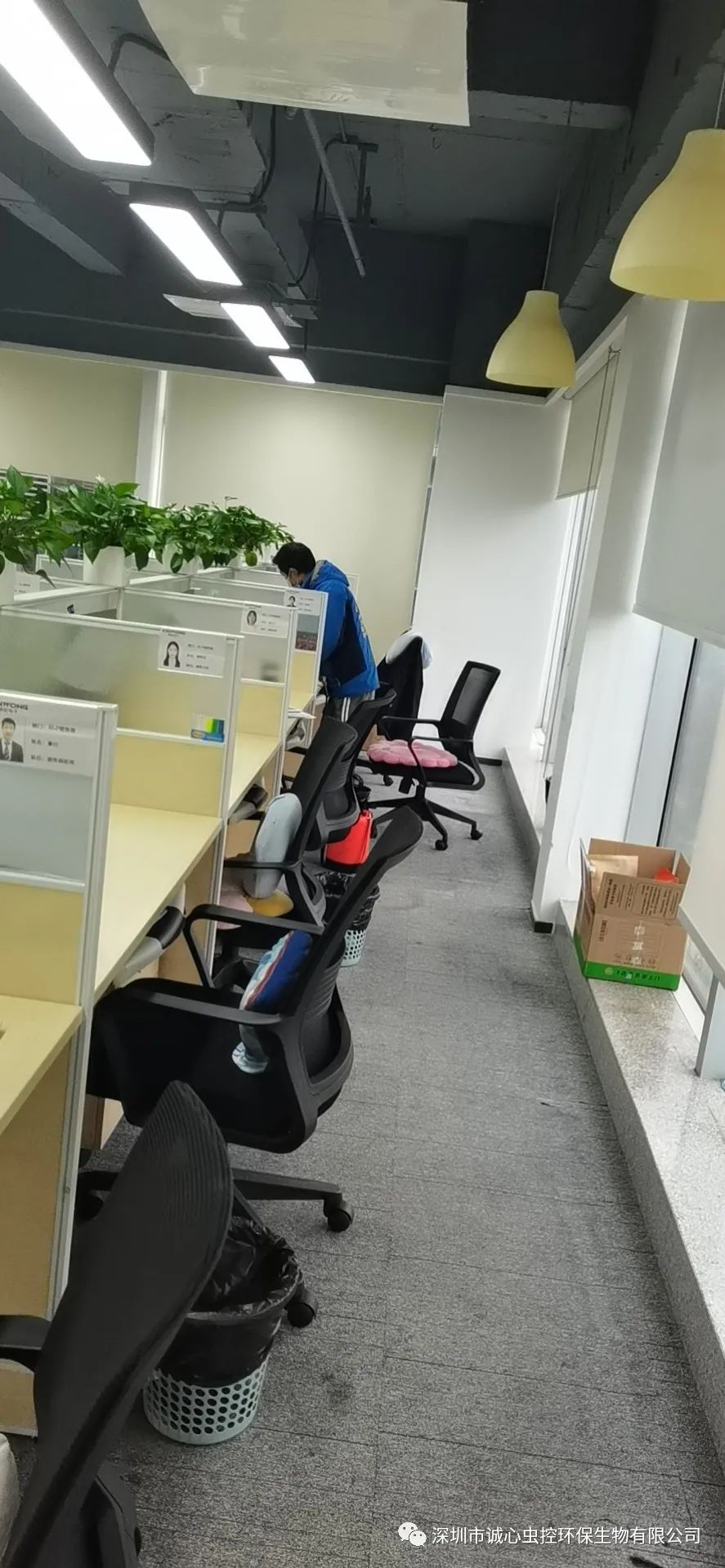 灭臭虫有效方法是什么_灭臭虫有效方法_灭臭虫有效方法有哪些