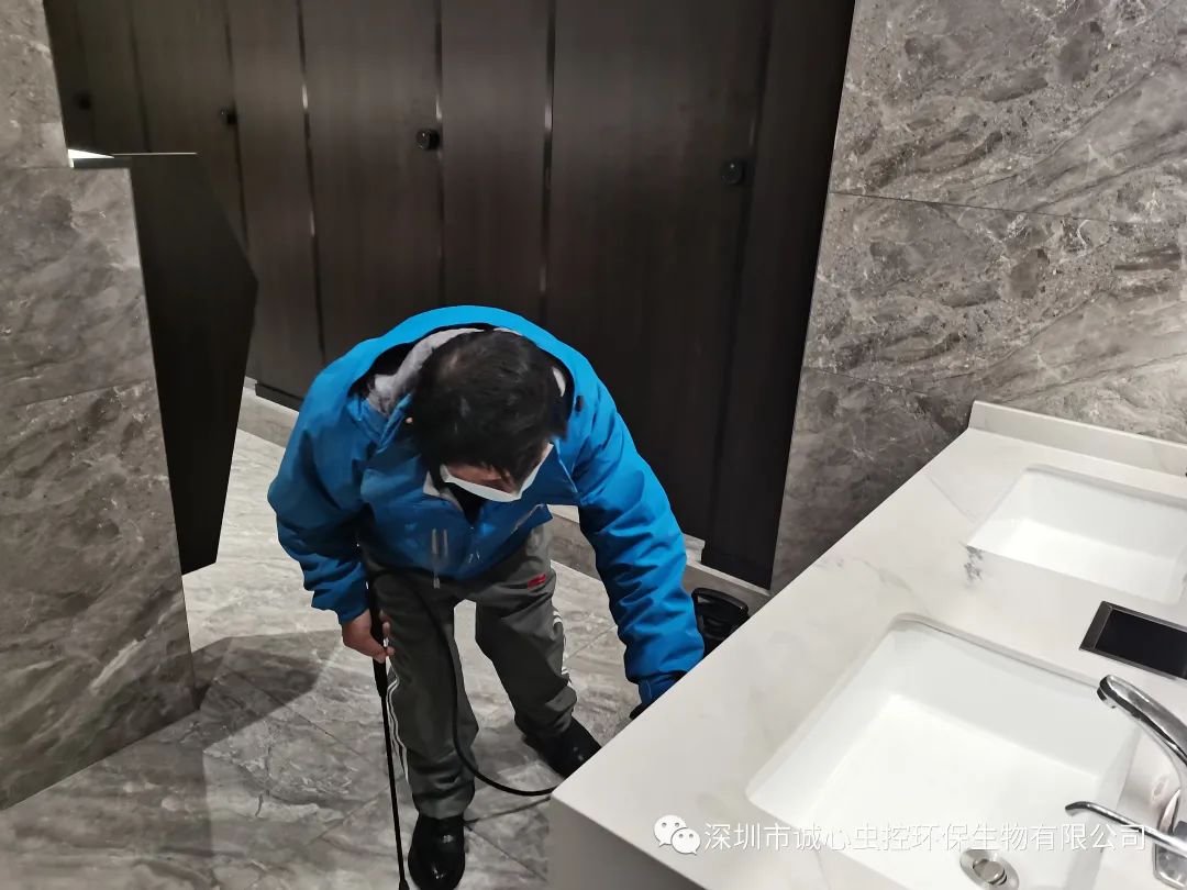 灭臭虫有效方法有哪些_灭臭虫有效方法是什么_灭臭虫有效方法