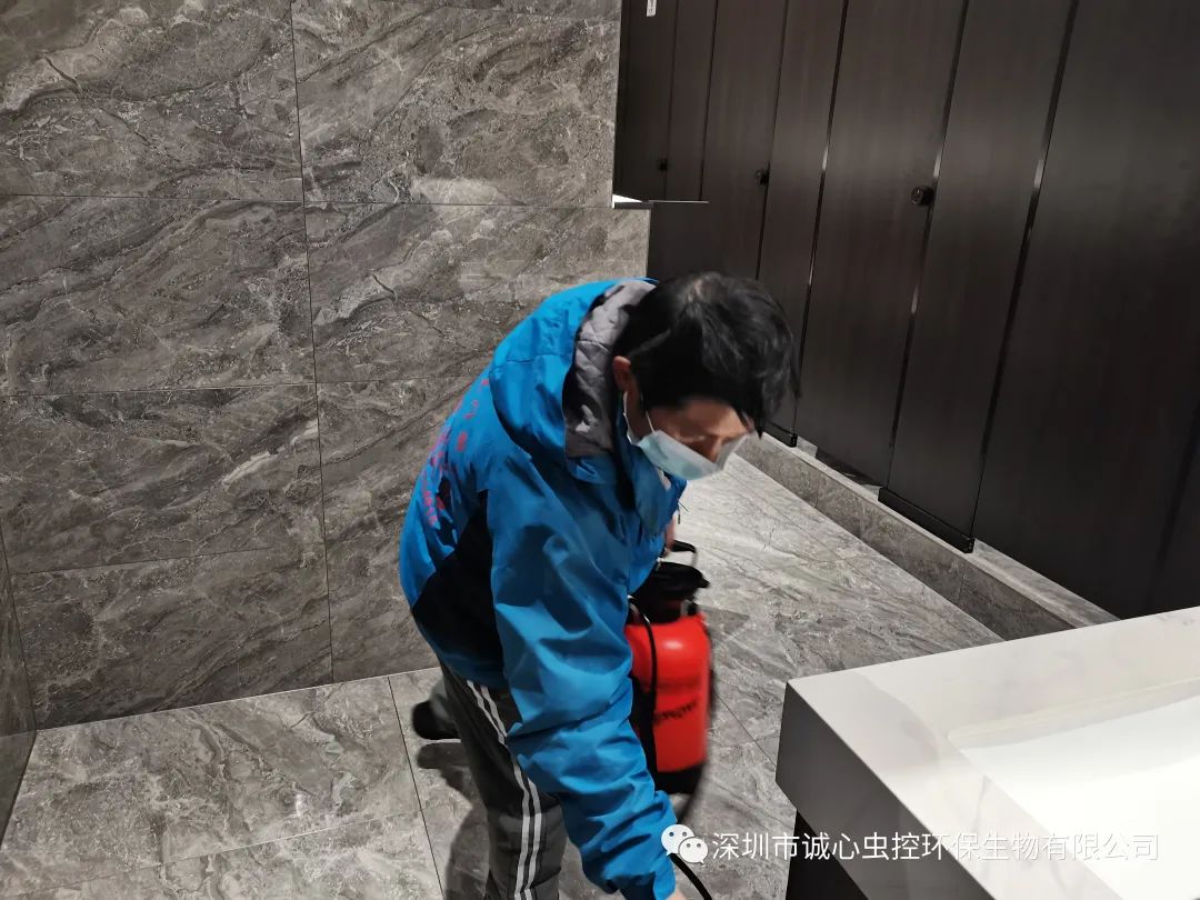 灭臭虫有效方法_灭臭虫有效方法是什么_灭臭虫有效方法有哪些
