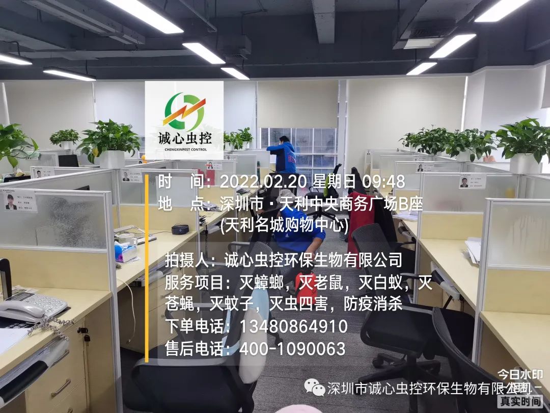 灭臭虫有效方法是什么_灭臭虫有效方法_灭臭虫有效方法有哪些