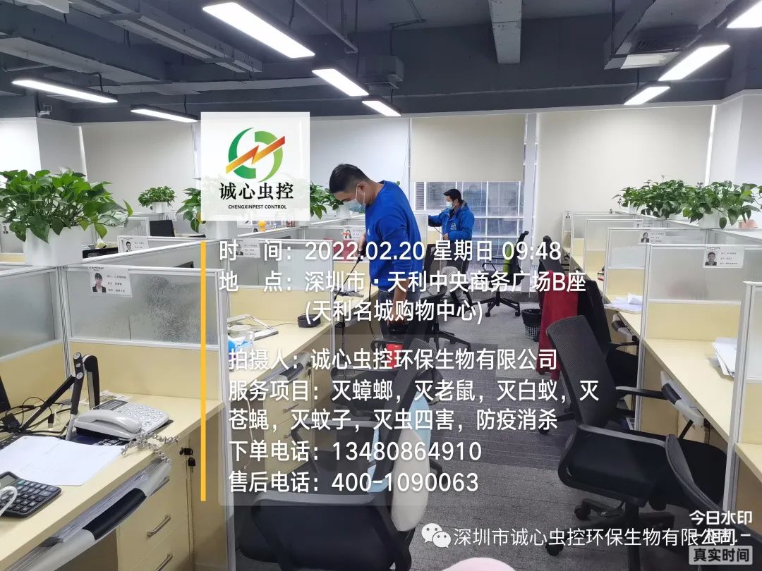 灭臭虫有效方法是什么_灭臭虫有效方法_灭臭虫有效方法有哪些