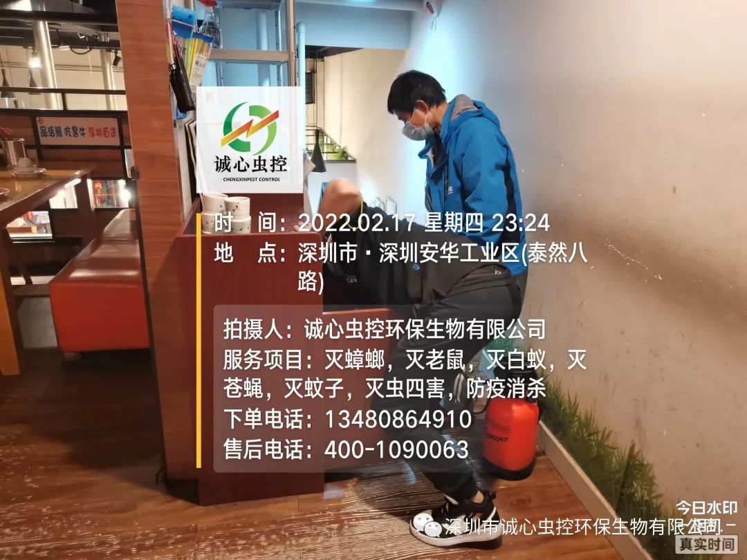 灭臭虫有效方法_灭臭虫有效方法是什么_灭臭虫有效方法有哪些