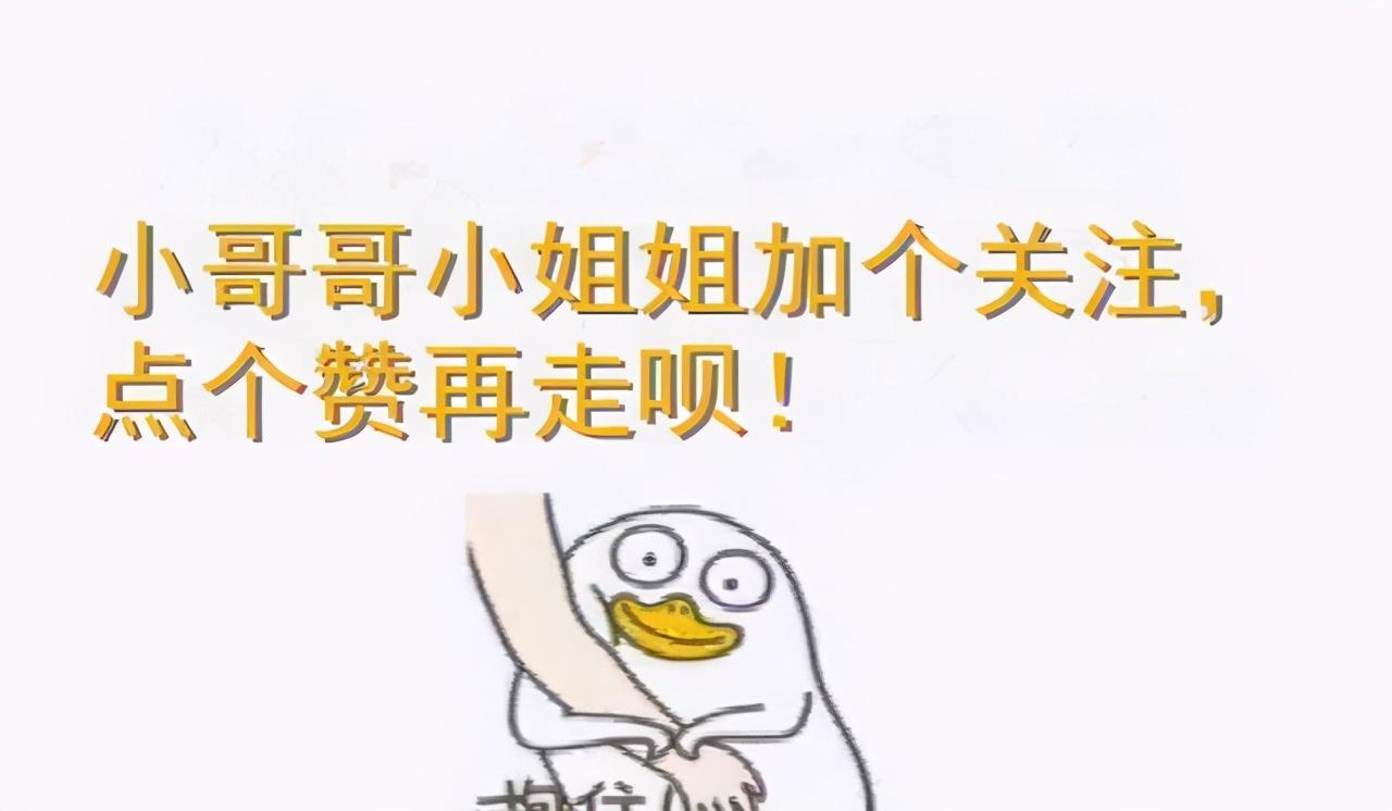 灭跳蚤用什么方法最管用_灭跳蚤专用药_灭跳蚤神器