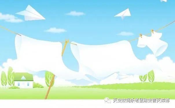 灭臭虫有效方法图片_灭臭虫有效方法_灭臭虫最有效的方法