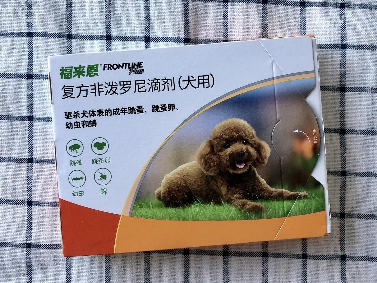 灭跳蚤专用药_灭跳蚤用什么方法最管用_灭跳蚤神器