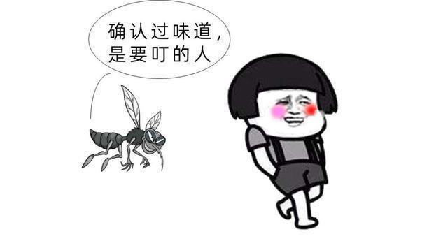 灭跳蚤妙招_灭跳蚤神器_灭跳蚤