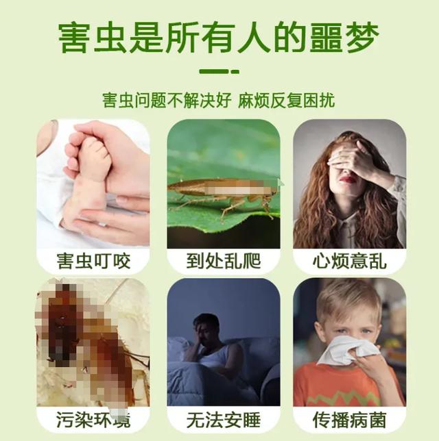 灭跳蚤妙招_灭跳蚤_灭跳蚤神器