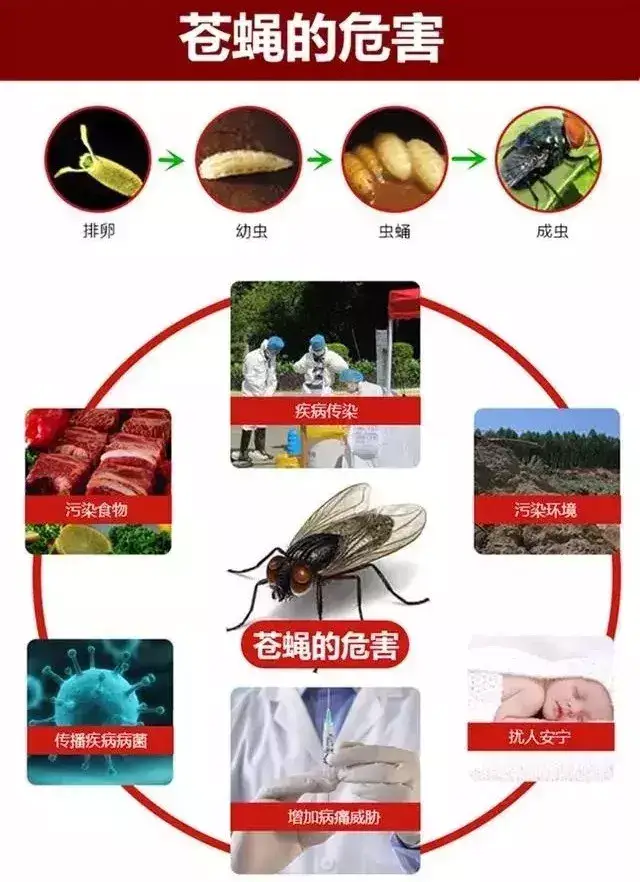 杀灭蚊子卵_灭蚊卵方法_灭蚊子卵
