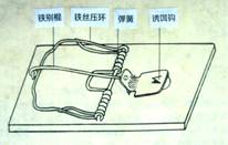 灭老鼠办法_老鼠怎么灭知乎_老鼠灭老鼠