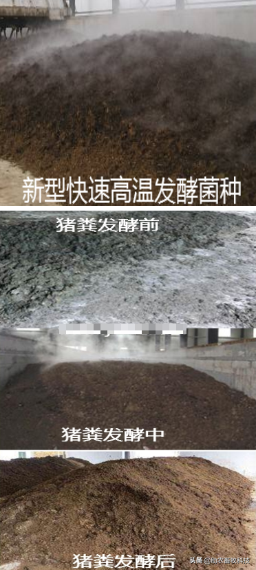 灭苍蝇什么比较好_苍蝇该杀吗_苍蝇杀灭