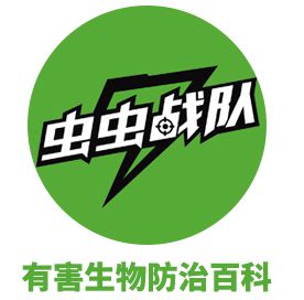室内臭虫怎么消灭_室内杀臭虫什么药最好_室内灭臭虫