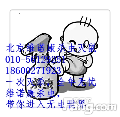 北京灭蟑螂多少钱？灭蟑螂公司价格如何？
