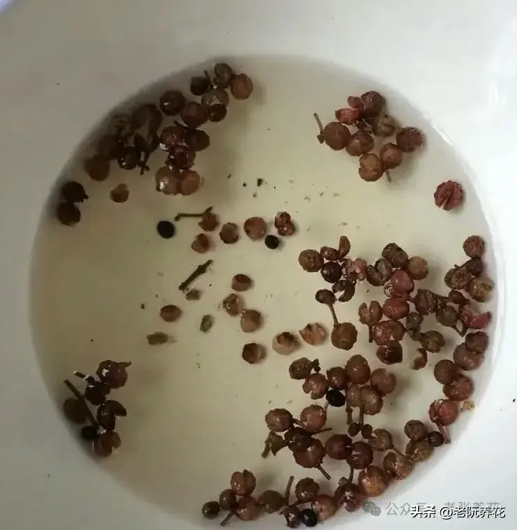 杀虫剂_2敌敌畏杀虫烟剂_化肥防结块剂配方大全防结块剂