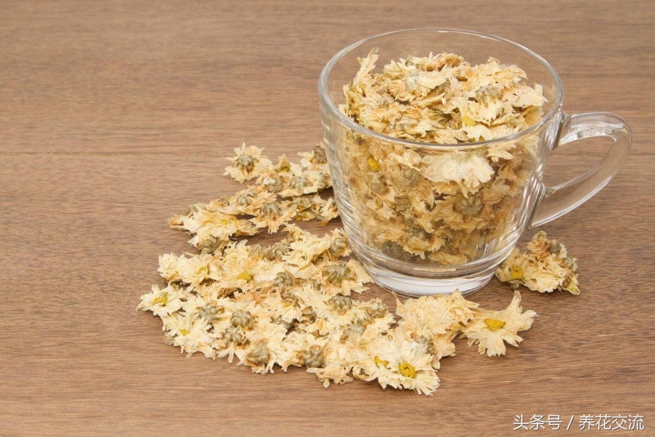 果树幼果期用什么杀菌剂杀虫_杀虫烟剂_杀虫剂