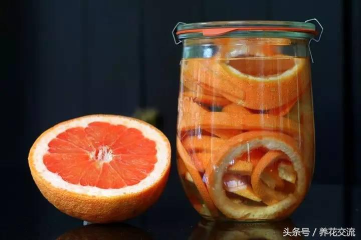 杀虫剂_杀虫烟剂_果树幼果期用什么杀菌剂杀虫