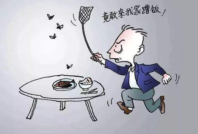 苍蝇药杀苍蝇原理_苍蝇灭药灭头虱需几天_灭苍蝇药