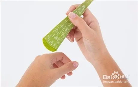 跳蚤咬的症状，被跳蚤咬了怎么办