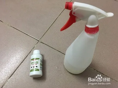 跳蚤咬的症状，被跳蚤咬了怎么办