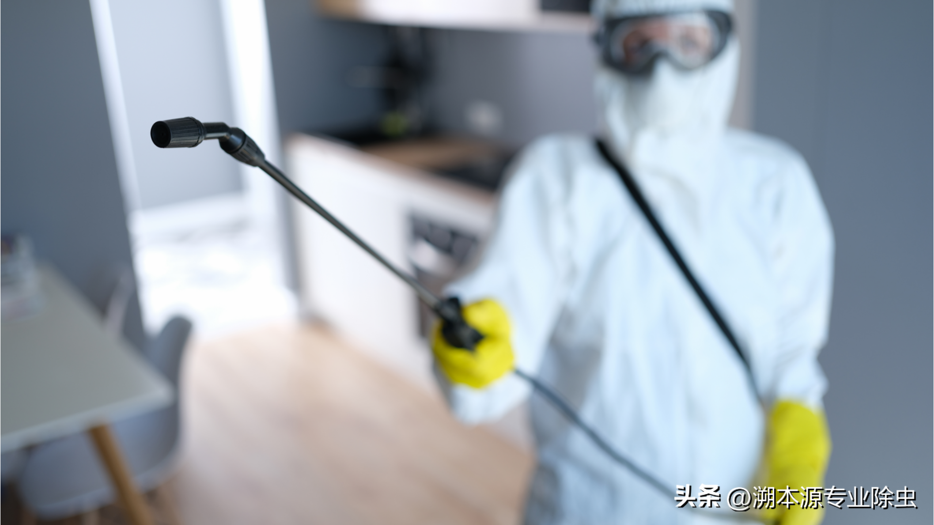 驱臭虫_驱臭虫的日常小方法_驱臭虫的植物