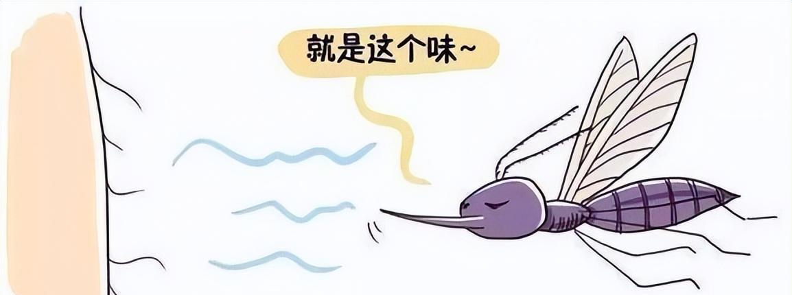 灭蚊子最有效的产品_灭蚊子的产品_有效子灭蚊产品有哪些