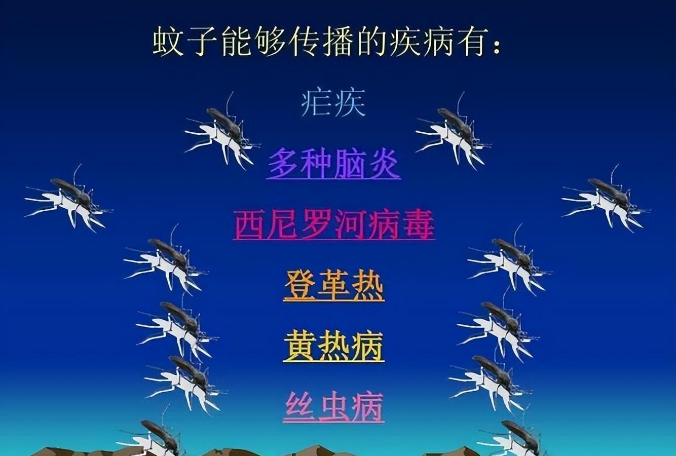 有效子灭蚊产品有哪些_灭蚊子最有效的产品_灭蚊子的产品