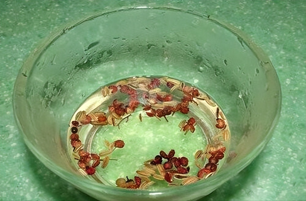 灭蚊子的产品_有效的灭蚊_灭蚊子最有效的产品