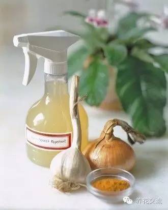 果树幼果期用什么杀菌剂杀虫_杀虫剂_化肥防结块剂配方大全防结块剂