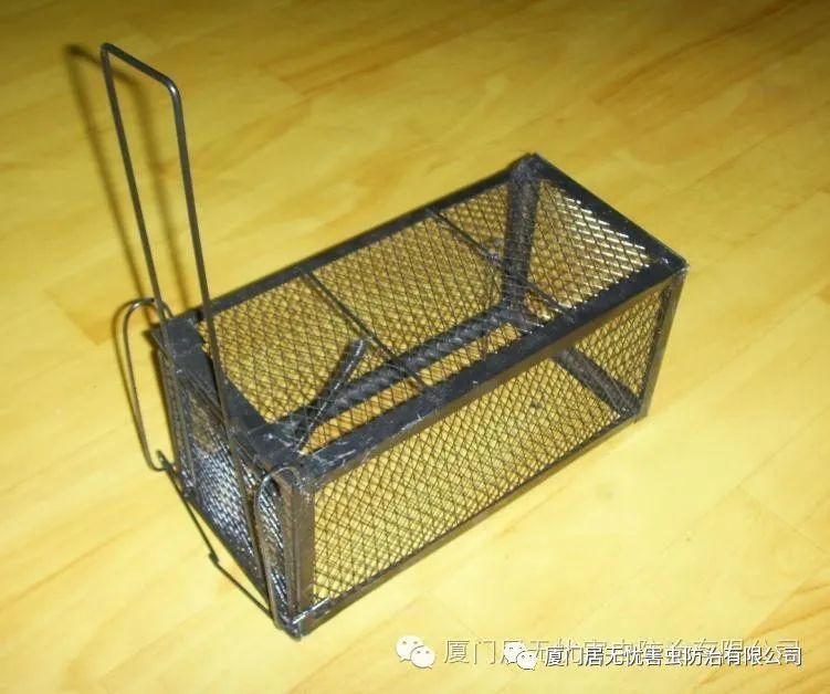 老鼠药灭鼠效果_灭老鼠最有效的药_老鼠灭药有效时间多长