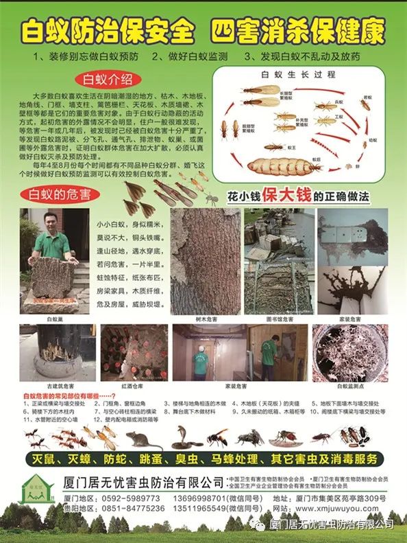 灭老鼠最有效的药_老鼠药灭鼠效果_老鼠灭药有效时间多长