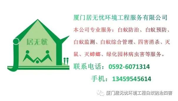 老鼠灭药有效时间多长_老鼠药灭鼠效果_灭老鼠最有效的药