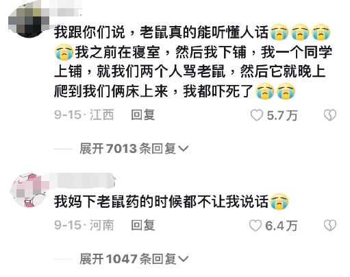 灭老鼠的杀虫剂_灭老鼠的药_灭老鼠药