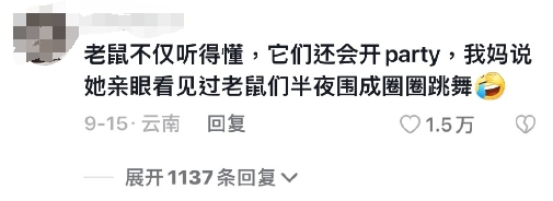 灭老鼠的药_灭老鼠的杀虫剂_灭老鼠药