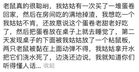 灭老鼠药_灭老鼠的杀虫剂_灭老鼠的药