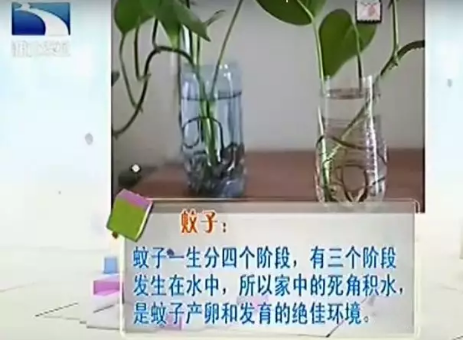 紫外线灯苍蝇_灭苍蝇的灯是紫外线灯吗_紫外线消毒灯能杀死苍蝇卵吗