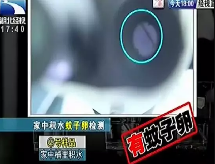 灭苍蝇的灯是紫外线灯吗_紫外线消毒灯能杀死苍蝇卵吗_紫外线灯苍蝇