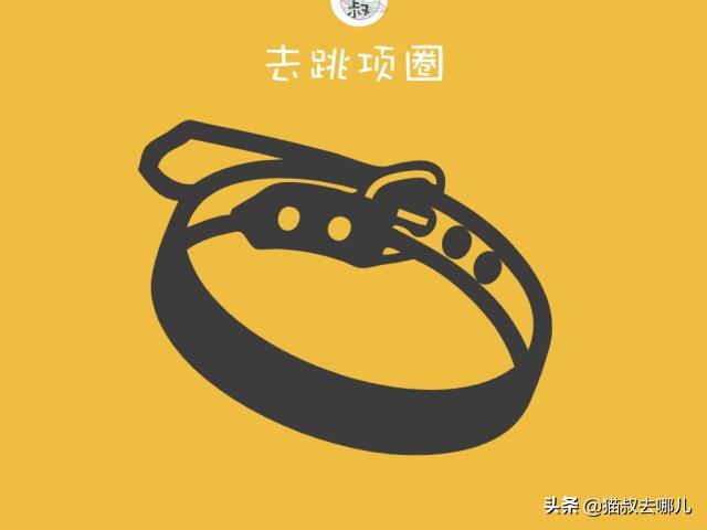 灭跳蚤的方法_灭跳蚤用什么方法最管用_灭跳蚤最快的方法