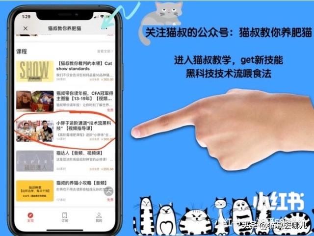 灭跳蚤用什么方法最管用_灭跳蚤的方法_灭跳蚤最快的方法