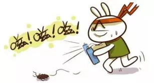 灭苍蝇最有效的方法室内_苍蝇灭室内有效方法是什么_苍蝇灭杀方法