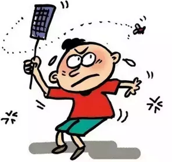 苍蝇灭室内有效方法是什么_苍蝇灭杀方法_灭苍蝇最有效的方法室内
