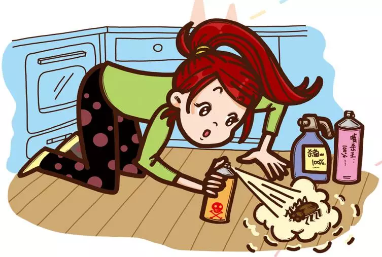 苍蝇灭杀方法_苍蝇灭室内有效方法是什么_灭苍蝇最有效的方法室内